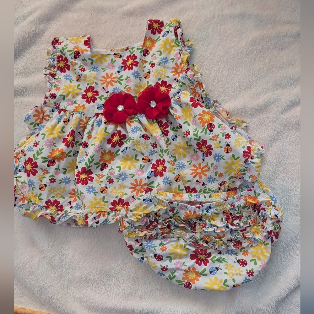 Ladybug Floral Dress And Bummies